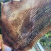 Golden Ombre Plain Shawl.1-720x960